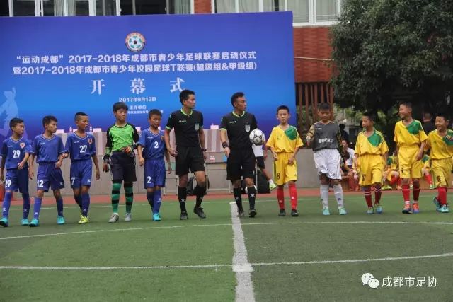 埃斯特旺造乌龙助切尔西2-0拿下卢顿